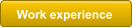 Work experience